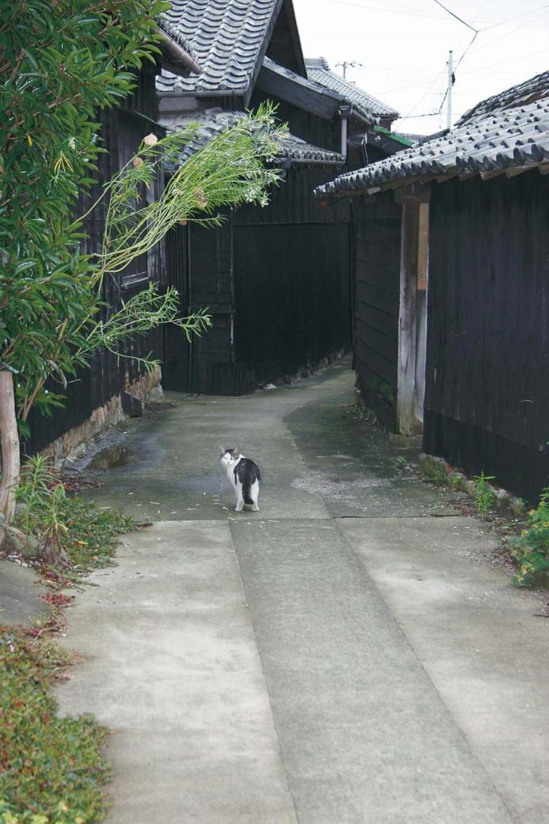 Kira Kanko Hotel Nishio Exterior photo